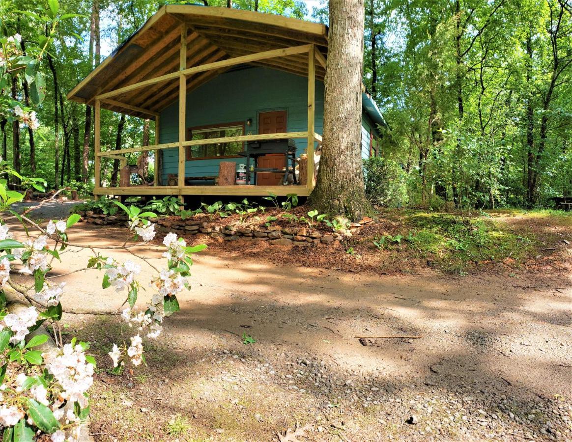 Mountain Laurel Cottage At Hearthstone Cabins And Camping - Pet Friendly ヘレン エクステリア 写真
